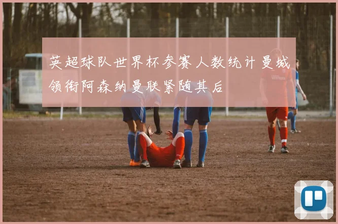 英超球队世界杯参赛人数统计曼城领衔阿森纳曼联紧随其后