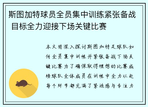 斯图加特球员全员集中训练紧张备战 目标全力迎接下场关键比赛