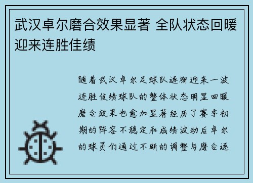 武汉卓尔磨合效果显著 全队状态回暖迎来连胜佳绩