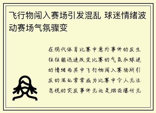 飞行物闯入赛场引发混乱 球迷情绪波动赛场气氛骤变