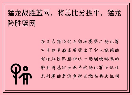 猛龙战胜篮网，将总比分扳平，猛龙险胜篮网