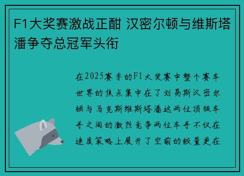 F1大奖赛激战正酣 汉密尔顿与维斯塔潘争夺总冠军头衔