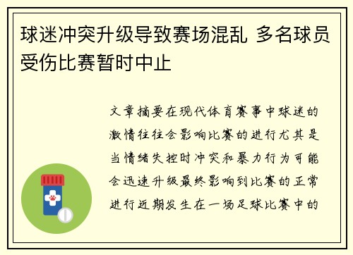 球迷冲突升级导致赛场混乱 多名球员受伤比赛暂时中止