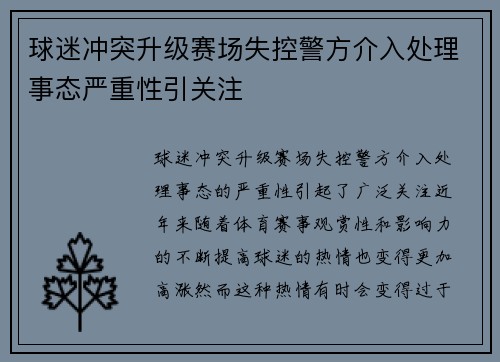 球迷冲突升级赛场失控警方介入处理事态严重性引关注